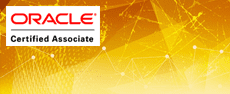 OCA: Oracle Java Certified Associate image