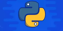 PYTHON-FUNDA.AJ1_pro.png?1671037755